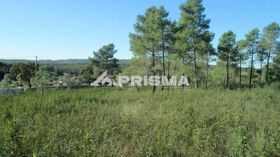 Terreno para Venda em Castelo Branco Foto 12