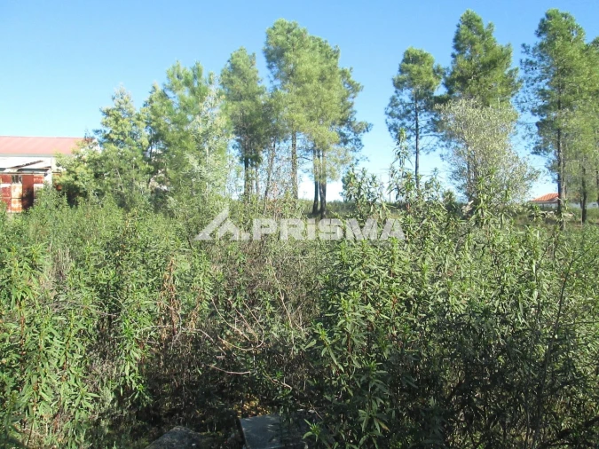 Terreno para Venda em Castelo Branco Foto 23