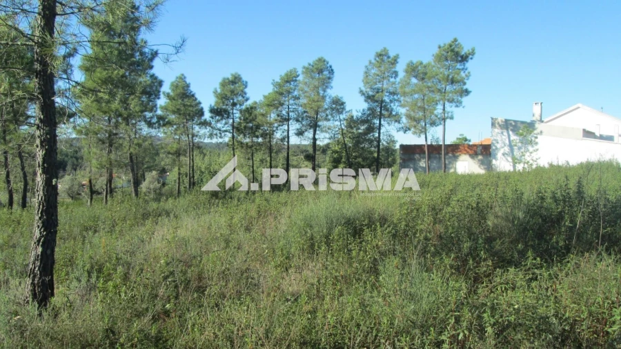 Terreno para Venda em Castelo Branco Foto 11