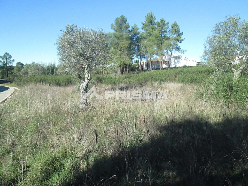 Terreno para Venda em Castelo Branco Foto 14