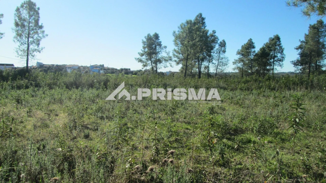 Terreno para Venda em Castelo Branco Foto 7