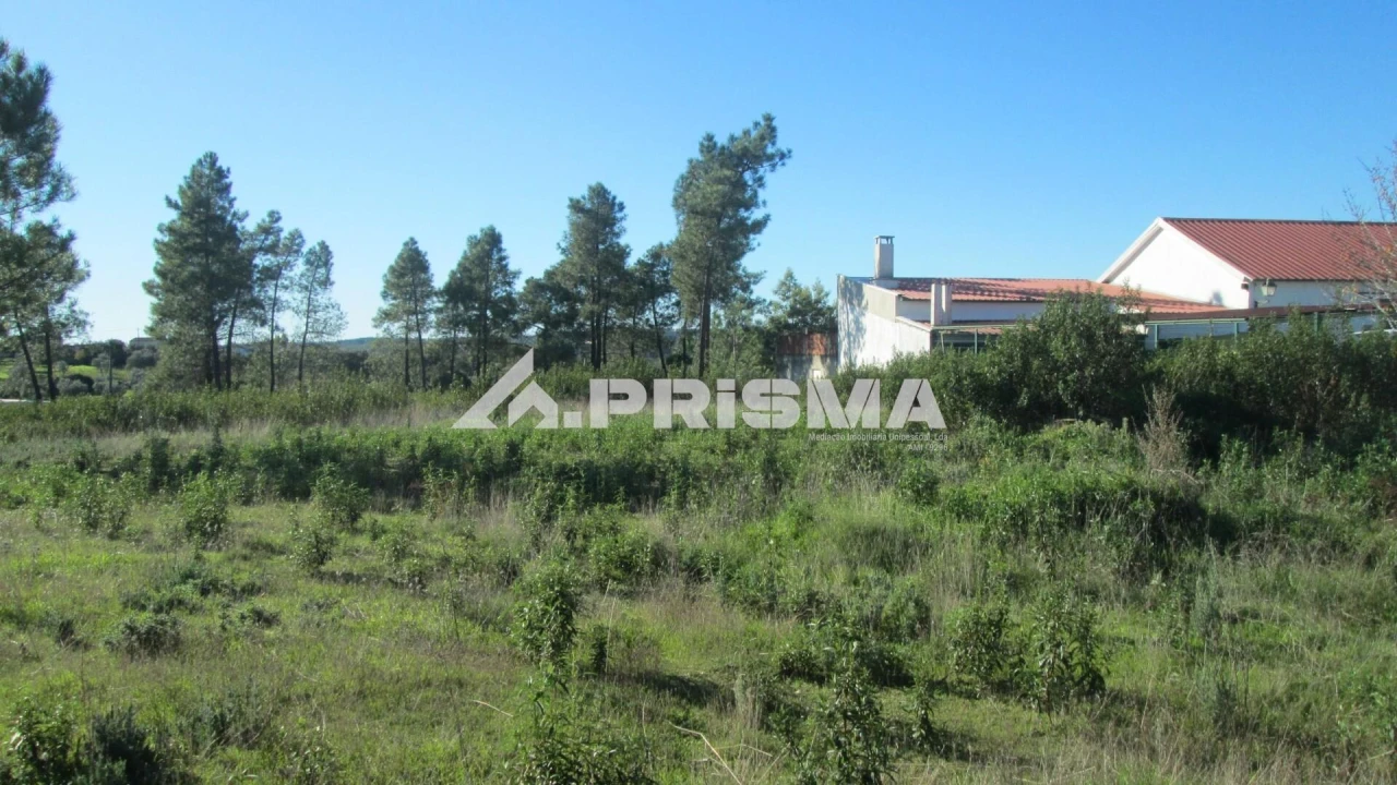 Terreno para Venda em Castelo Branco Foto 3