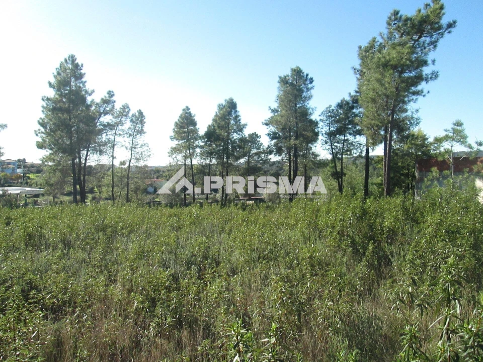 Terreno para Venda em Castelo Branco Foto 29