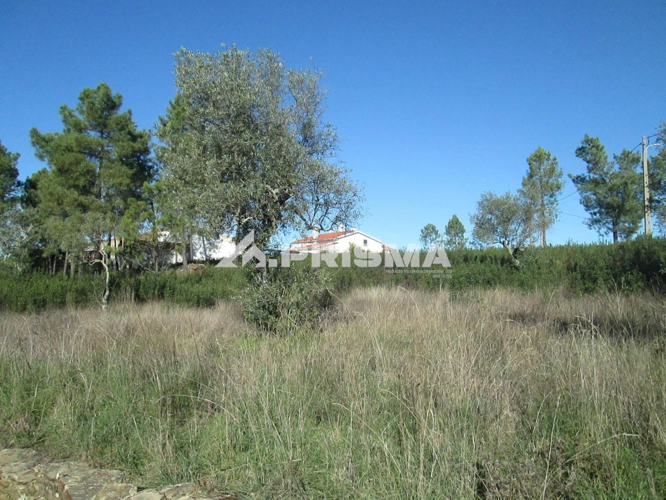 Terreno para Venda em Castelo Branco Foto 17