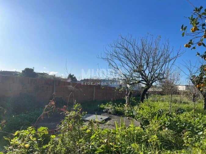 Terreno para Venda em Pardilho Foto 11