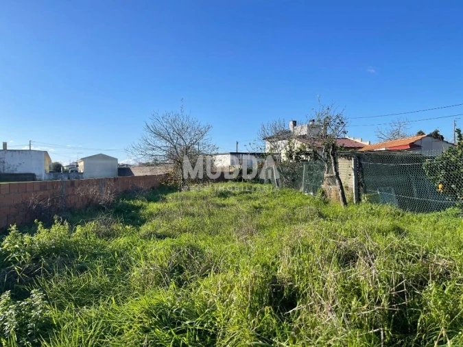 Terreno para Venda em Pardilho Foto 9