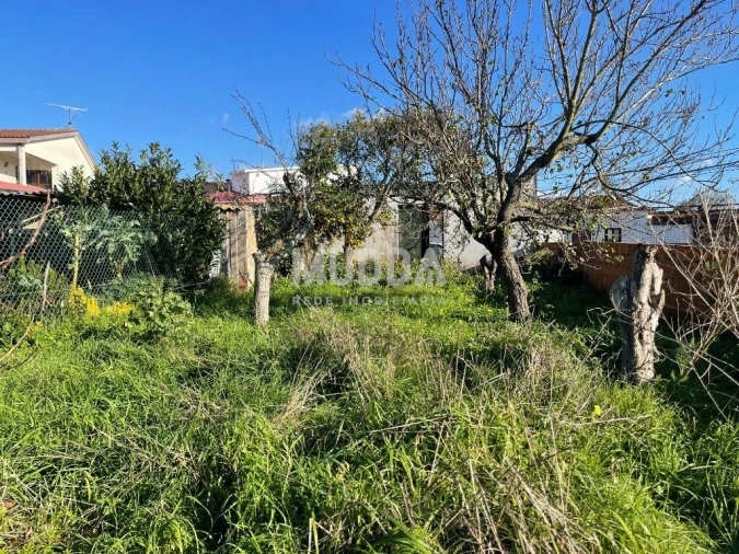 Terreno para Venda em Pardilho Foto 10