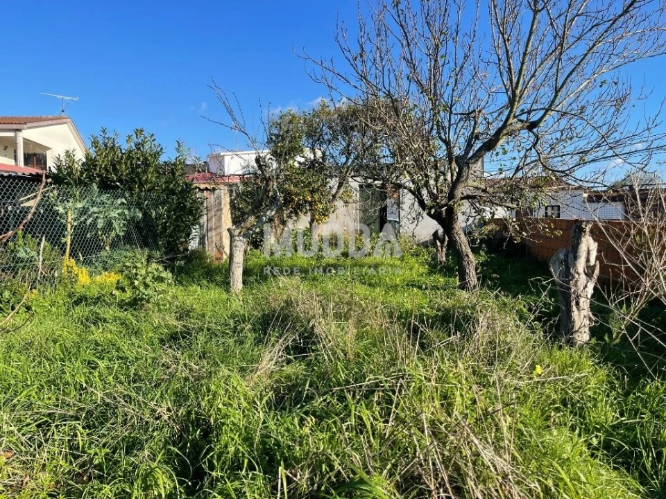 Terreno para Venda em Pardilho Foto 10
