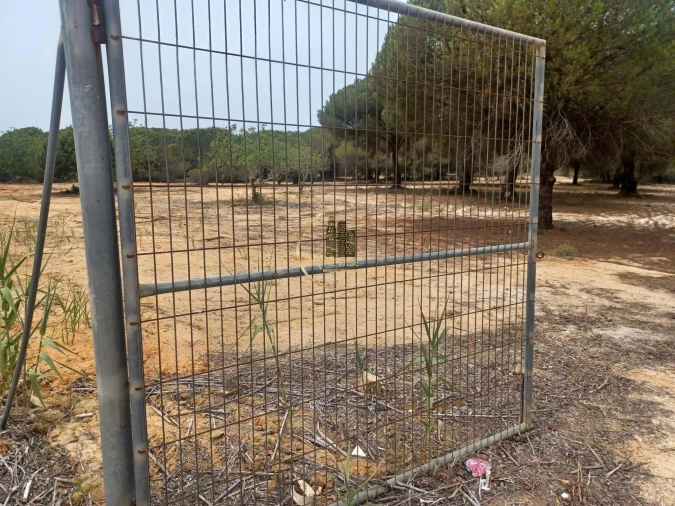 Terreno Agricola ou Rústico para Venda em Almancil Foto 3