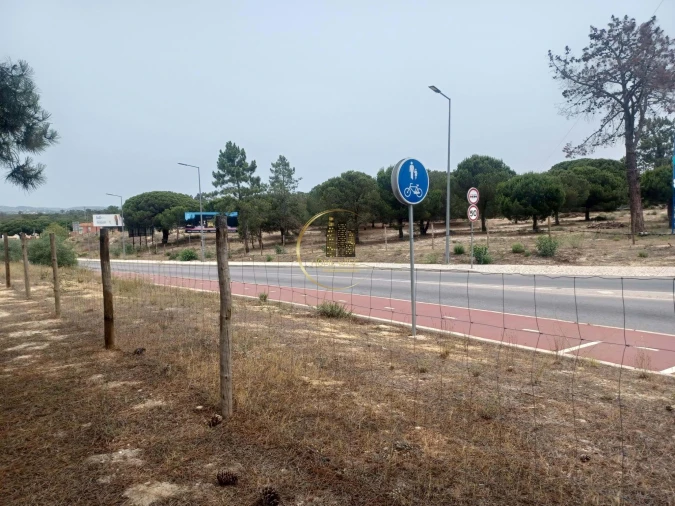 Terreno Agricola ou Rústico para Venda em Almancil Foto 1