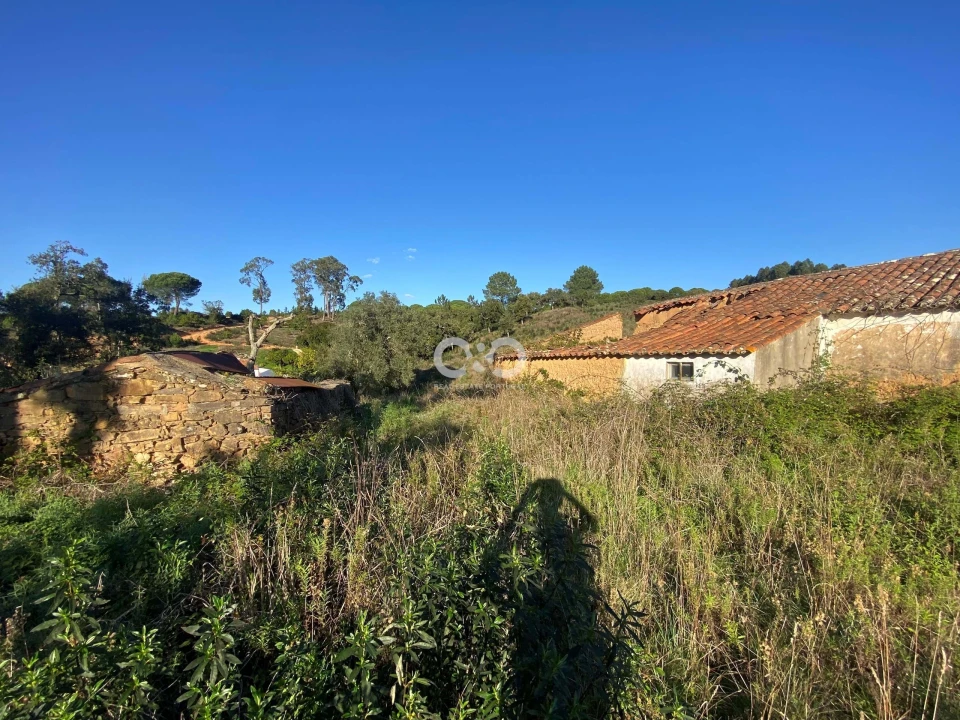 Terreno para Venda em São Teotónio Foto 15
