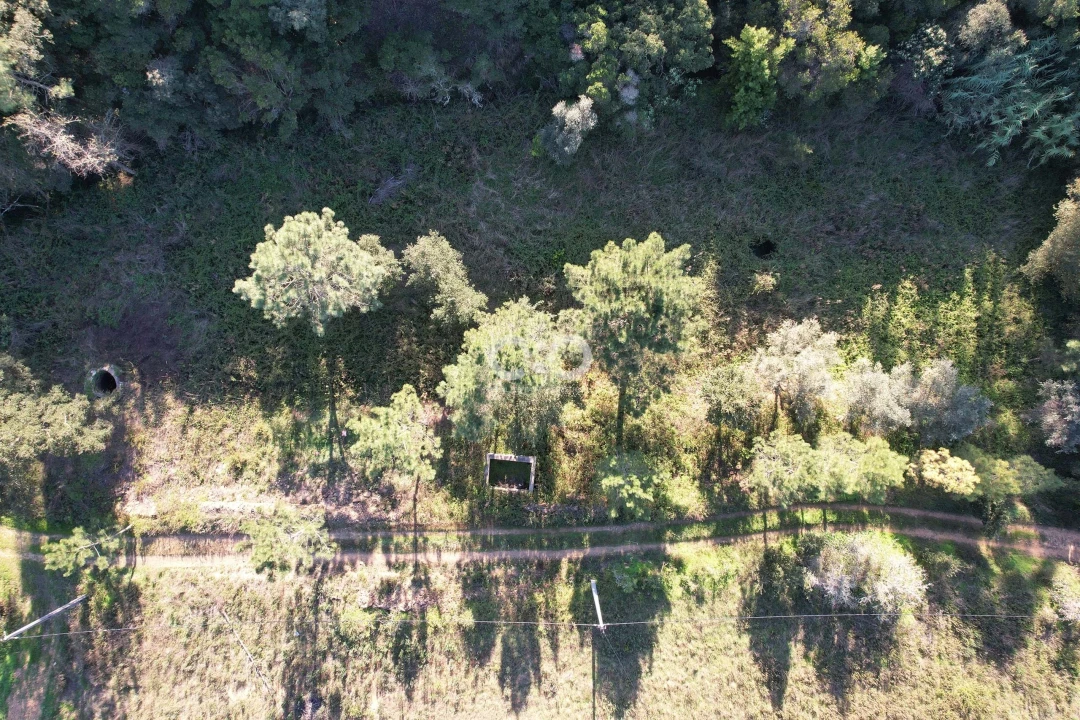Terreno para Venda em São Teotónio Foto 4