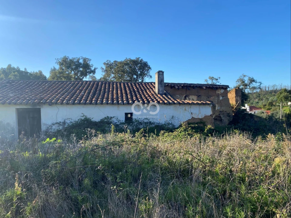 Terreno para Venda em São Teotónio Foto 10