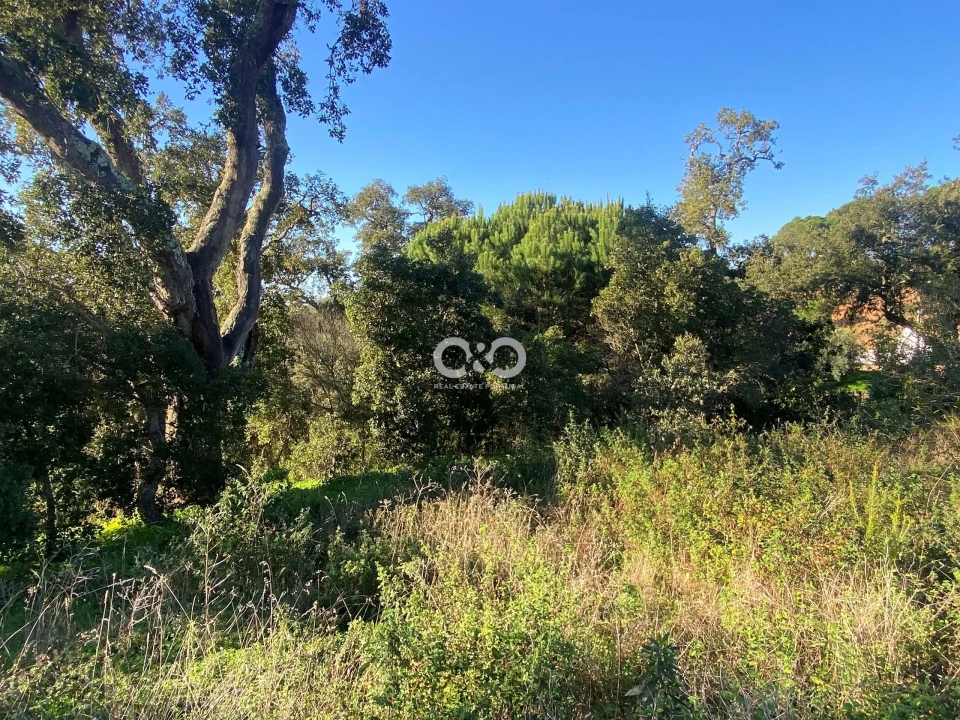 Terreno para Venda em São Teotónio Foto 20