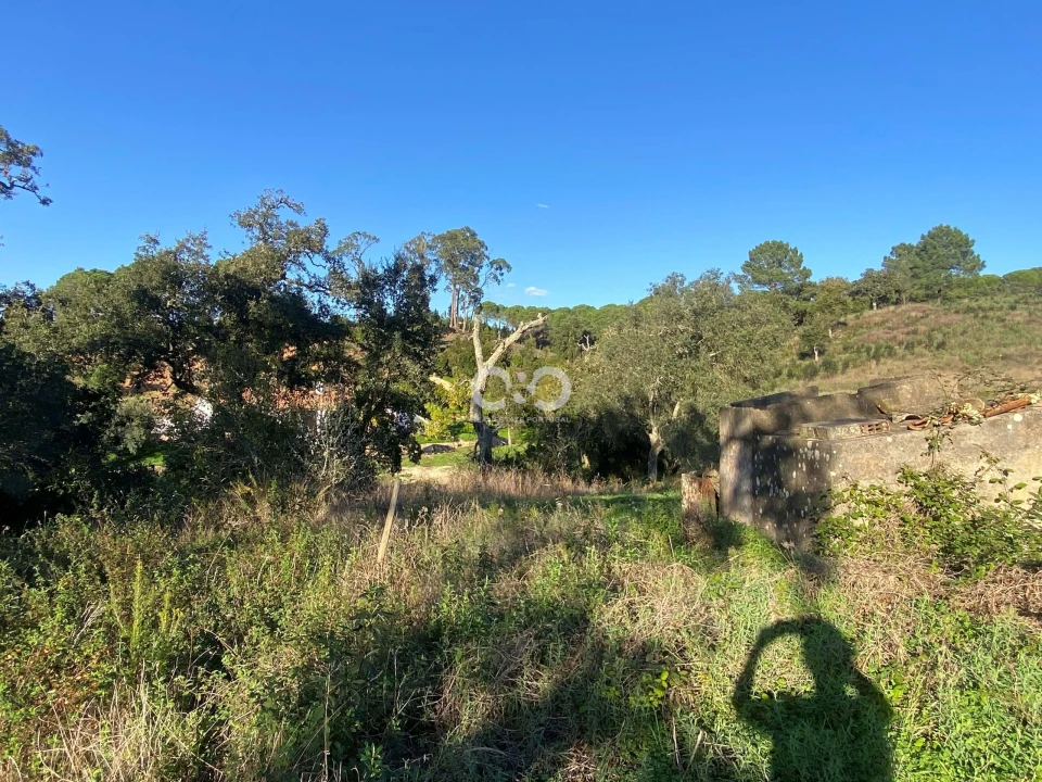 Terreno para Venda em São Teotónio Foto 19