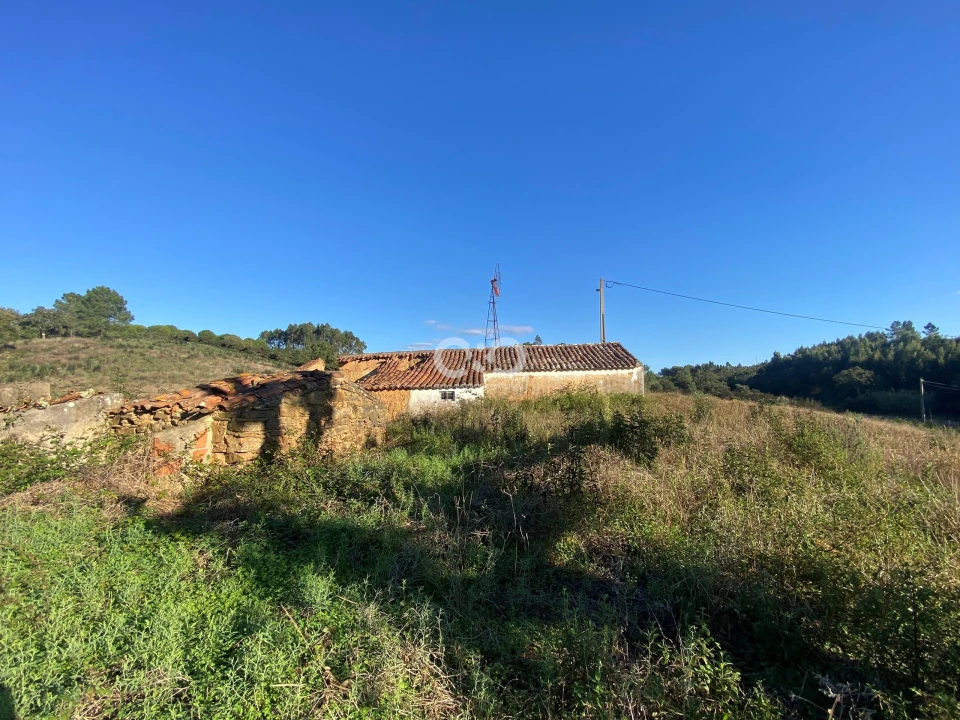 Terreno para Venda em São Teotónio Foto 17