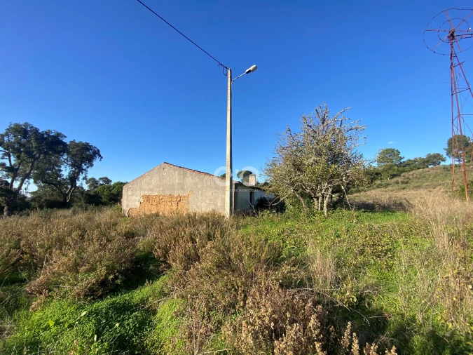 Terreno para Venda em São Teotónio Foto 11