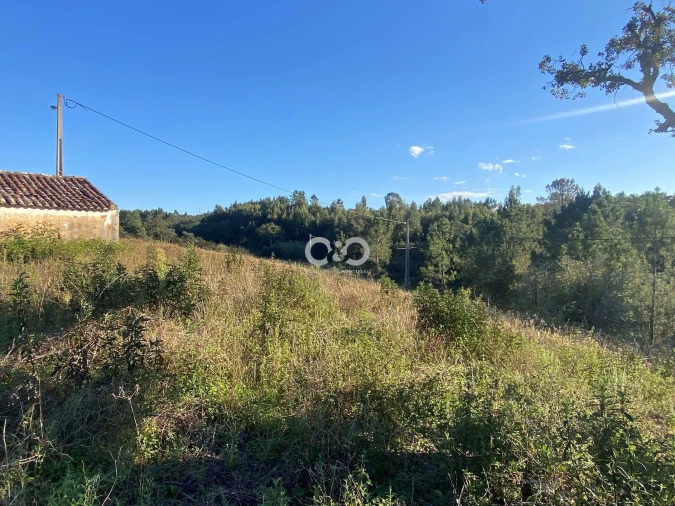 Terreno para Venda em São Teotónio Foto 3