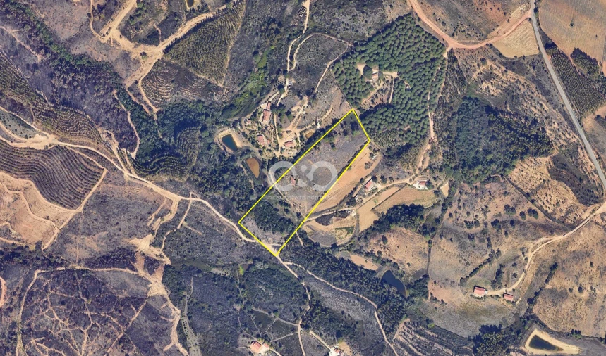 Terreno para Venda em São Teotónio Foto 8