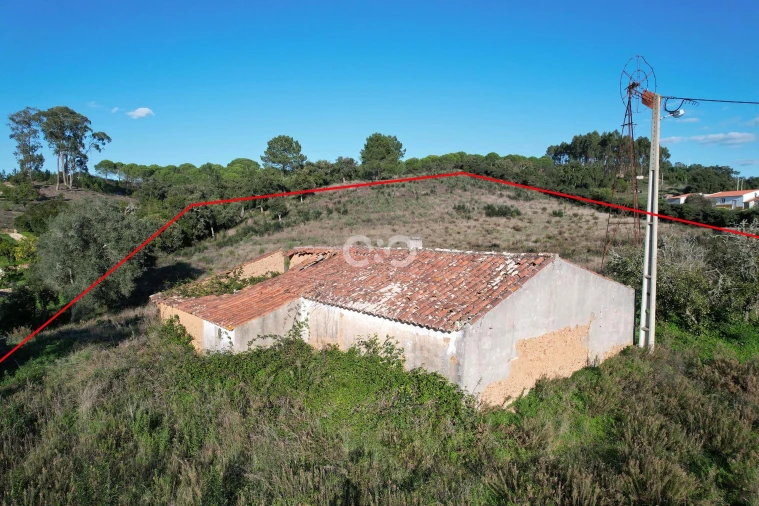 Terreno para Venda em São Teotónio Foto 9