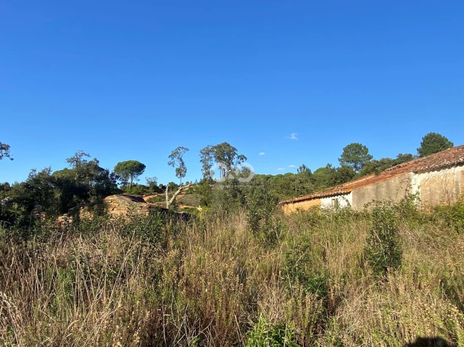Terreno para Venda em São Teotónio Foto 13