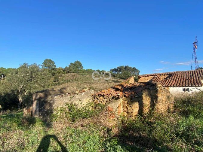 Terreno para Venda em São Teotónio Foto 18