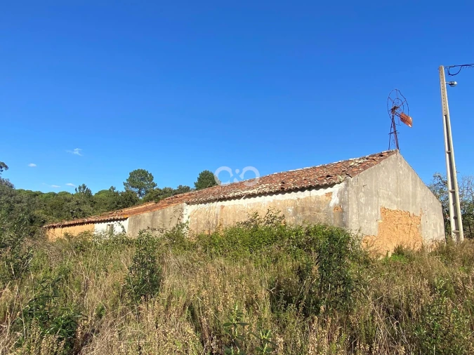 Terreno para Venda em São Teotónio Foto 12