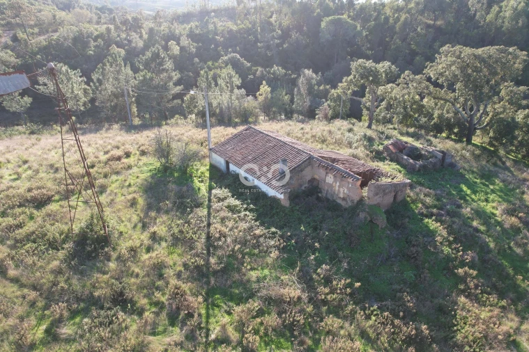 Terreno para Venda em São Teotónio Foto 6