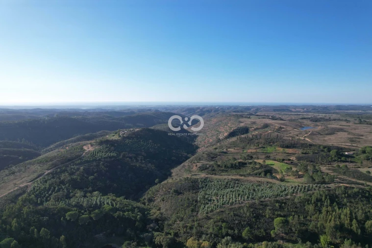 Terreno para Venda em São Teotónio Foto 7
