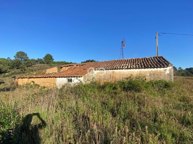 Terreno para Venda em São Teotónio Foto 14