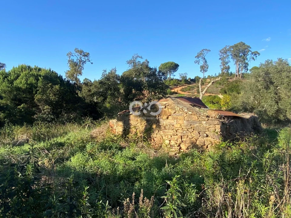 Terreno para Venda em São Teotónio Foto 16