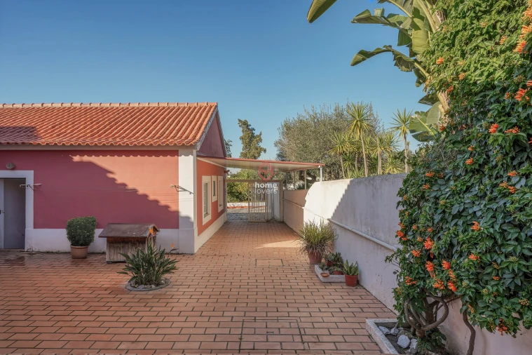 Quinta T4 para Venda em Azeitão (São Lourenço e São Simão) Foto 36