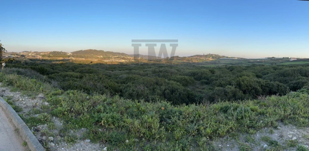 Terreno Comércio / Armazém para Venda em Lousa Foto 4