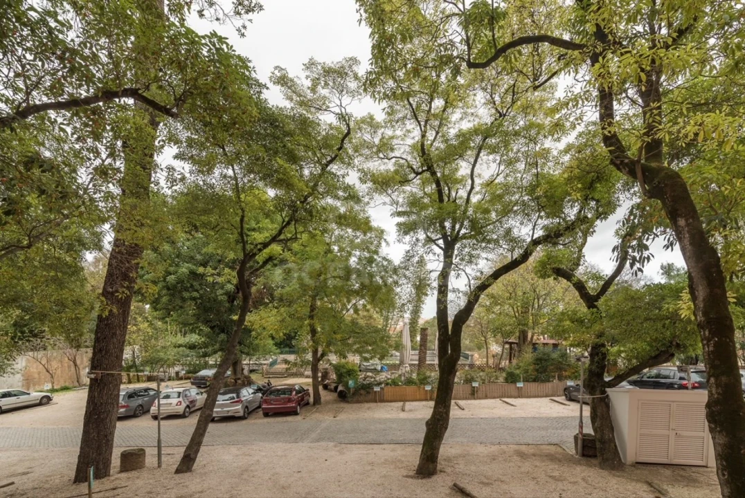 Apartamento T6 para Venda em Misericórdia Foto 20