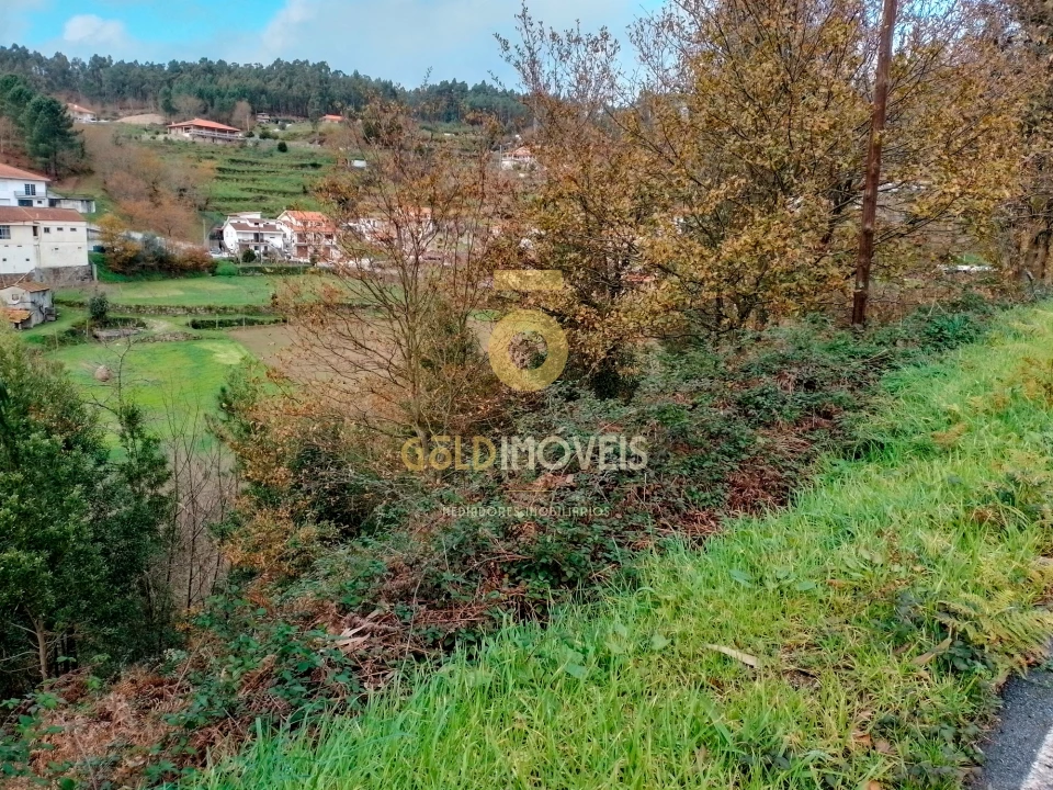 Terreno Agricola ou Rústico para Venda em Souselo Foto 5