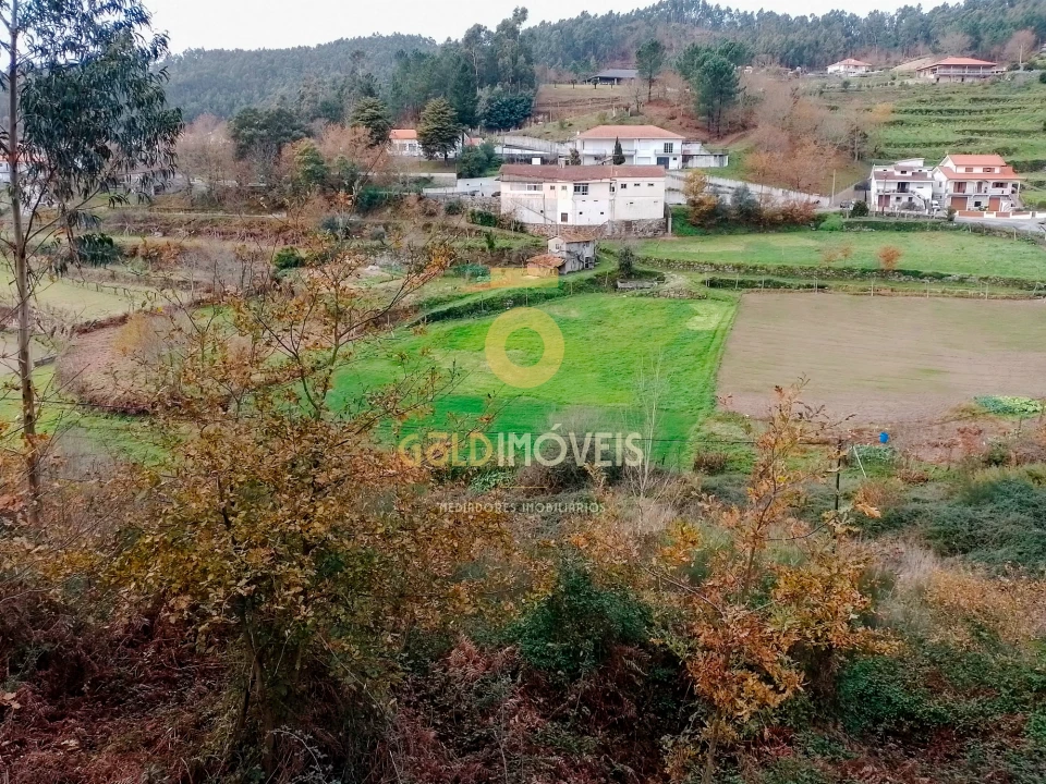 Terreno Agricola ou Rústico para Venda em Souselo Foto 1