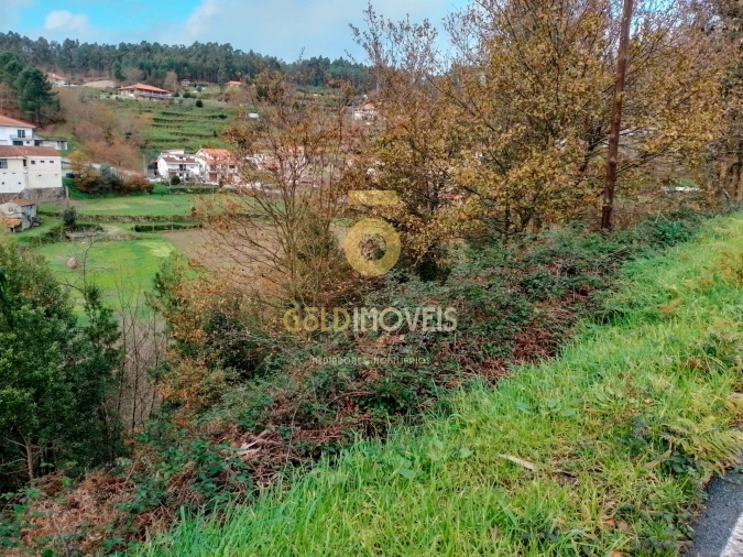 Terreno Agricola ou Rústico para Venda em Souselo Foto 5