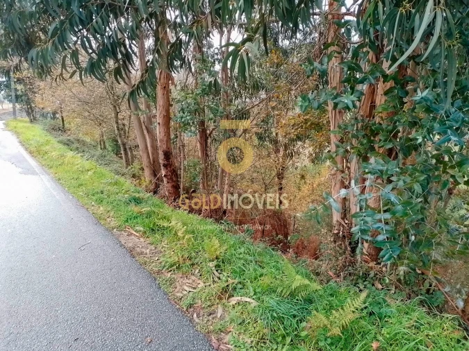 Terreno Agricola ou Rústico para Venda em Souselo Foto 3