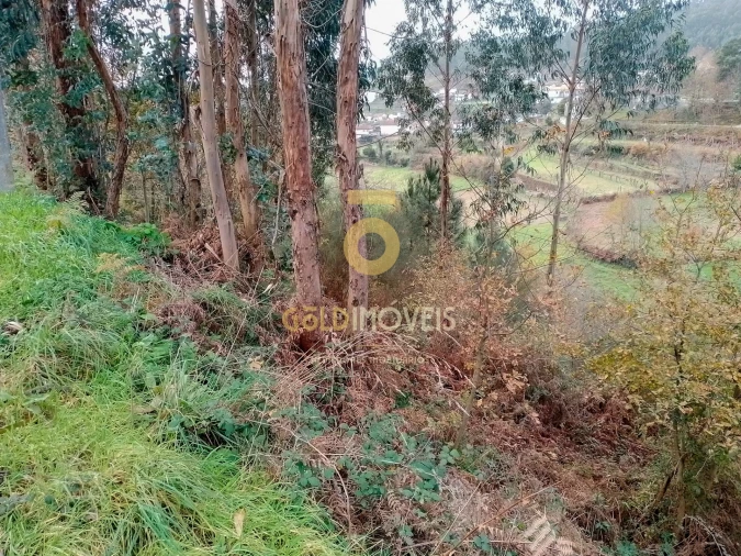 Terreno Agricola ou Rústico para Venda em Souselo Foto 2