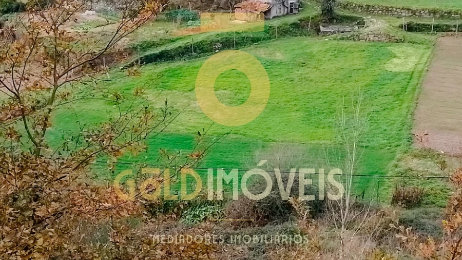 Terreno Agricola ou Rústico para Venda em Souselo