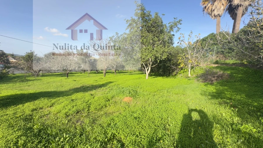 Terreno para Venda em Loule (São Clemente) Foto 1