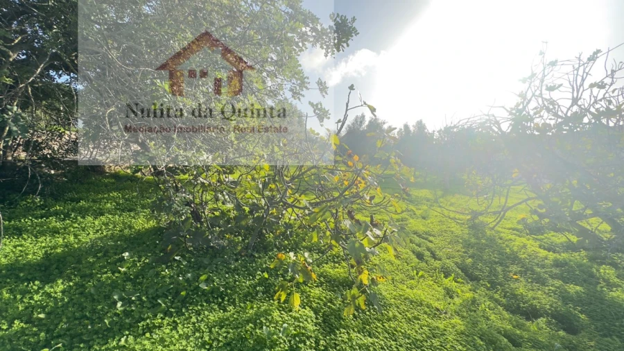 Terreno para Venda em Loule (São Clemente) Foto 6