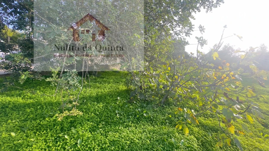 Terreno para Venda em Loule (São Clemente) Foto 7