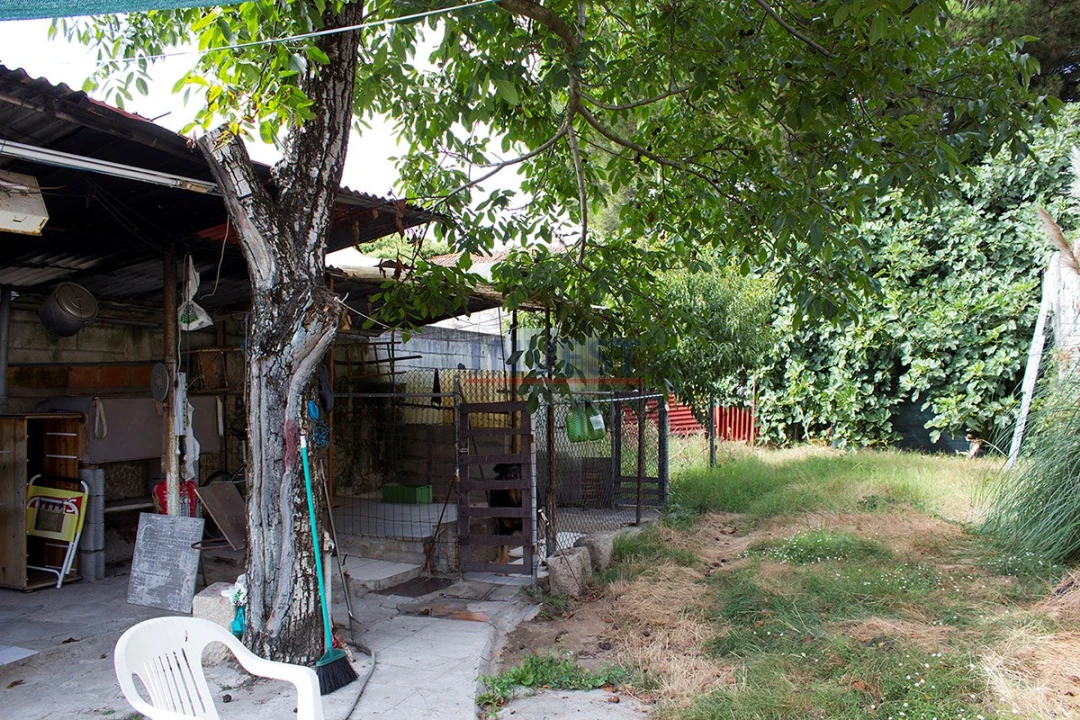 Prédio para Venda em Cedofeita, Santo Ildefonso, Sé, Miragaia, São Nicolau e Vitória Foto 5