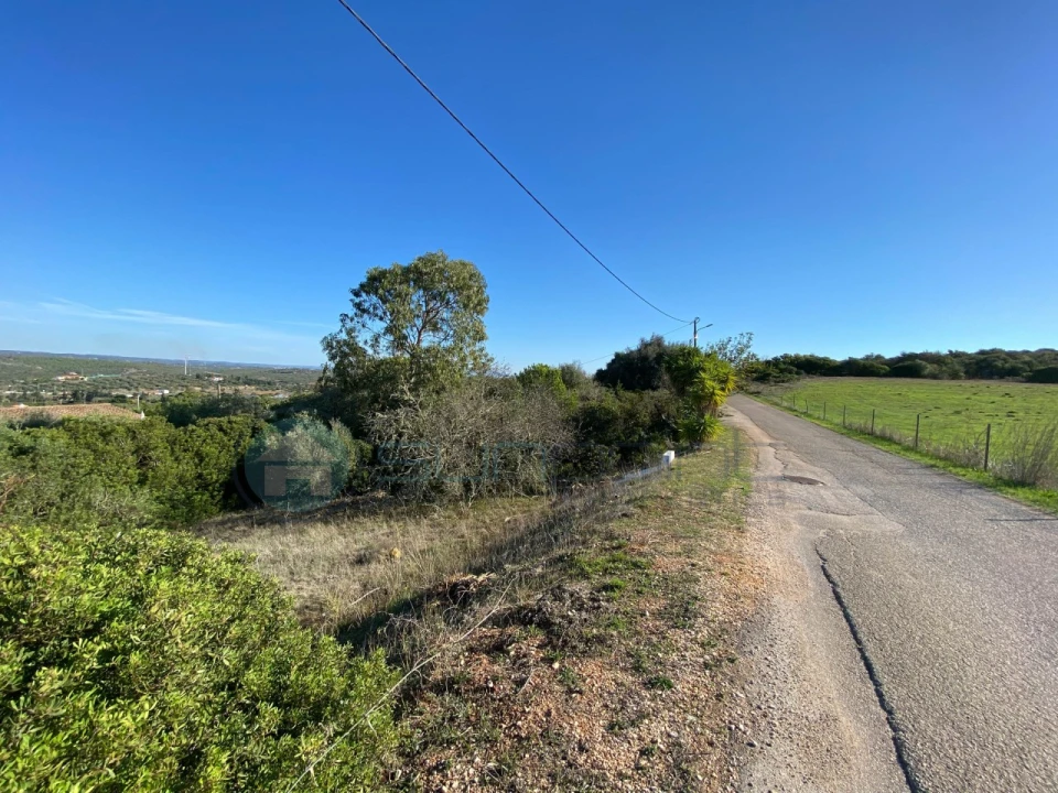 Terreno Agricola ou Rústico para Venda em Luz Foto 7