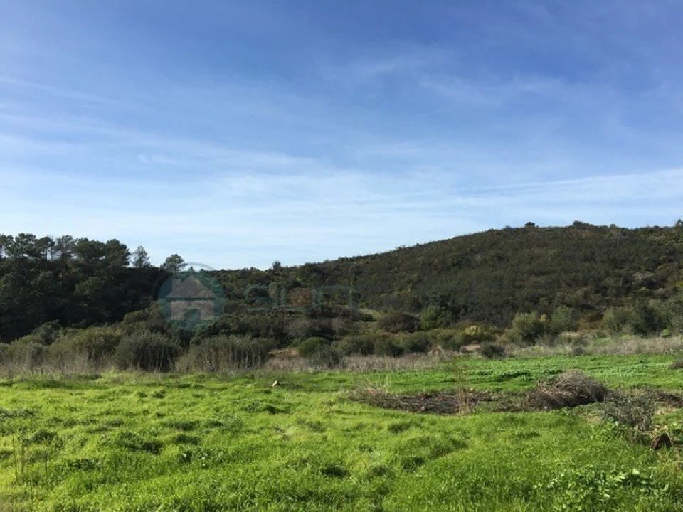 Terreno Misto para Venda em Bordeira Foto 4