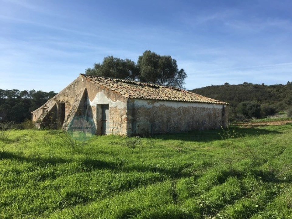 Terreno Misto para Venda em Bordeira Foto 2