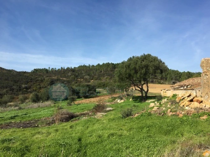 Terreno Misto para Venda em Bordeira Foto 3