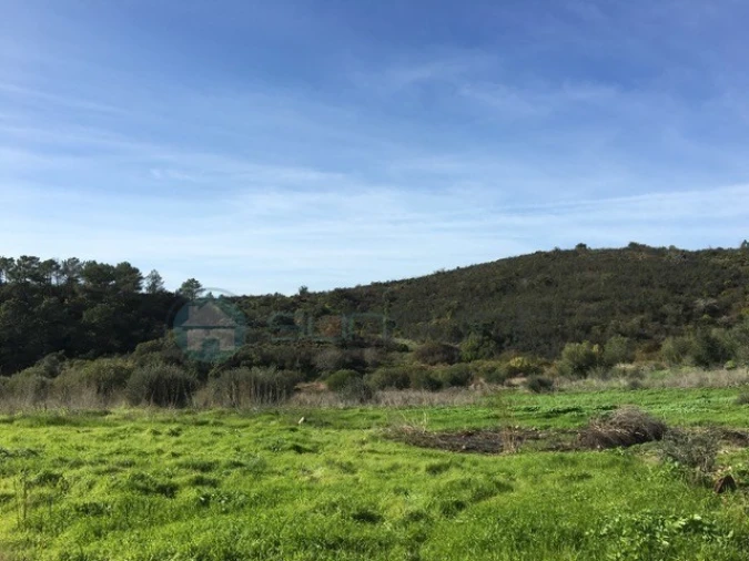 Terreno Misto para Venda em Bordeira Foto 4