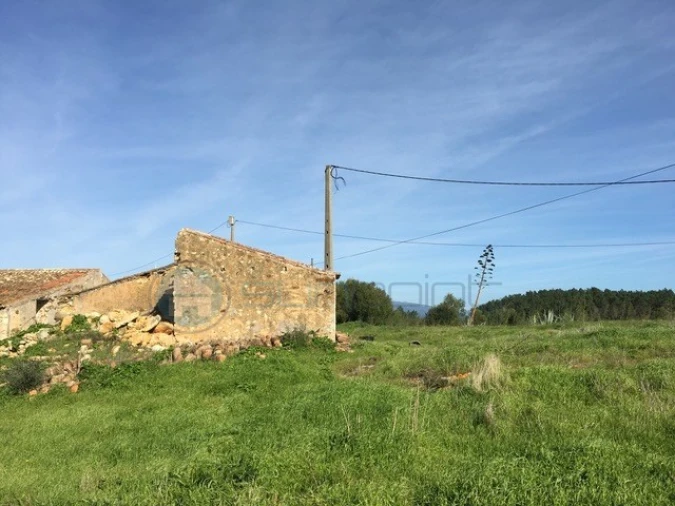 Terreno Misto para Venda em Bordeira Foto 6